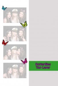 Butterfly Top Layer